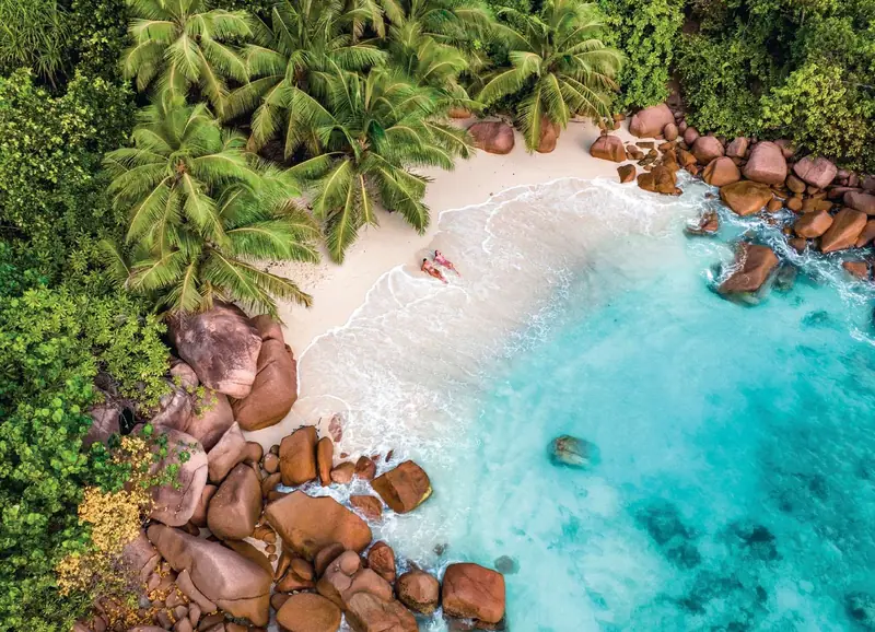 Plage tropicale aux eaux turquoise, vue aérienne
